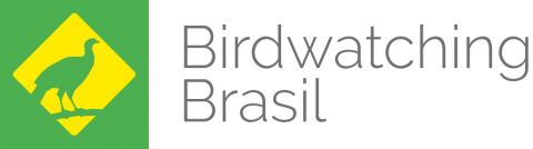 Birdwatching Brasil